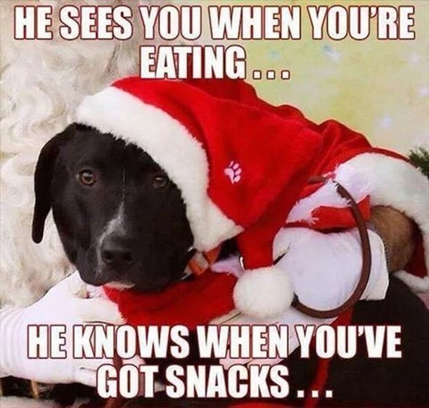 Christmas Memes Funny