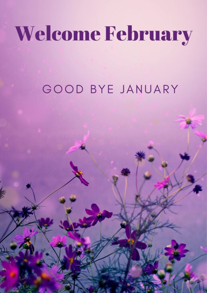 Goodbye January Welcome February